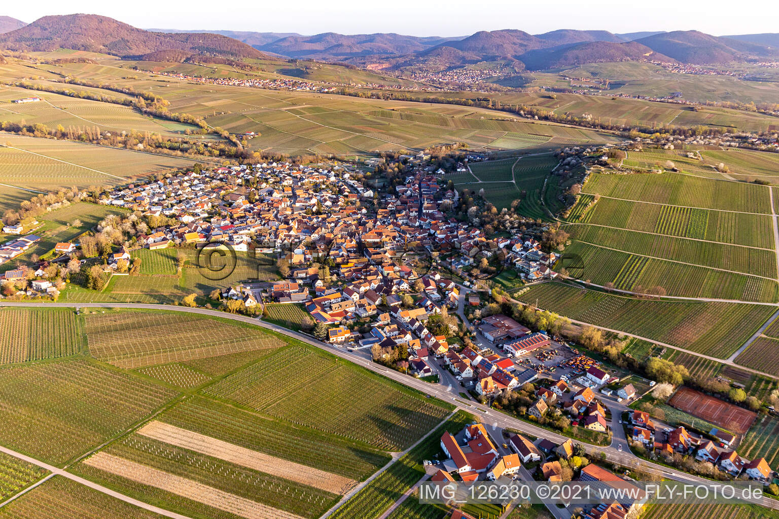 Landwirtschaftliche Nutzflächen und Weinberge umsäumen das Siedlungsgebiet des Dorfes zu Füßen der kleinen Kalmit im Frühjahr in Ilbesheim bei Landau in der Pfalz im Bundesland Rheinland-Pfalz, Deutschland