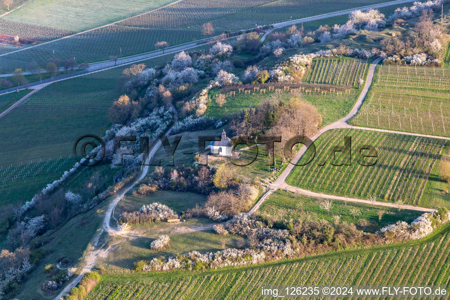 Luftaufnahme von Kapelle "Kleine Kalmit" im Naturschutzgebiet Kleine Kalmit am Ostermorgen mit Frühlingsblüte in Ilbesheim bei Landau in der Pfalz im Bundesland Rheinland-Pfalz, Deutschland