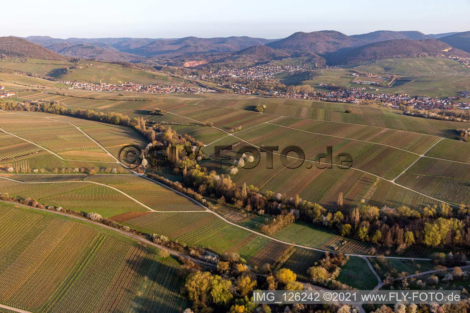 Luftbild von Ranschbachtal im Bundesland Rheinland-Pfalz, Deutschland