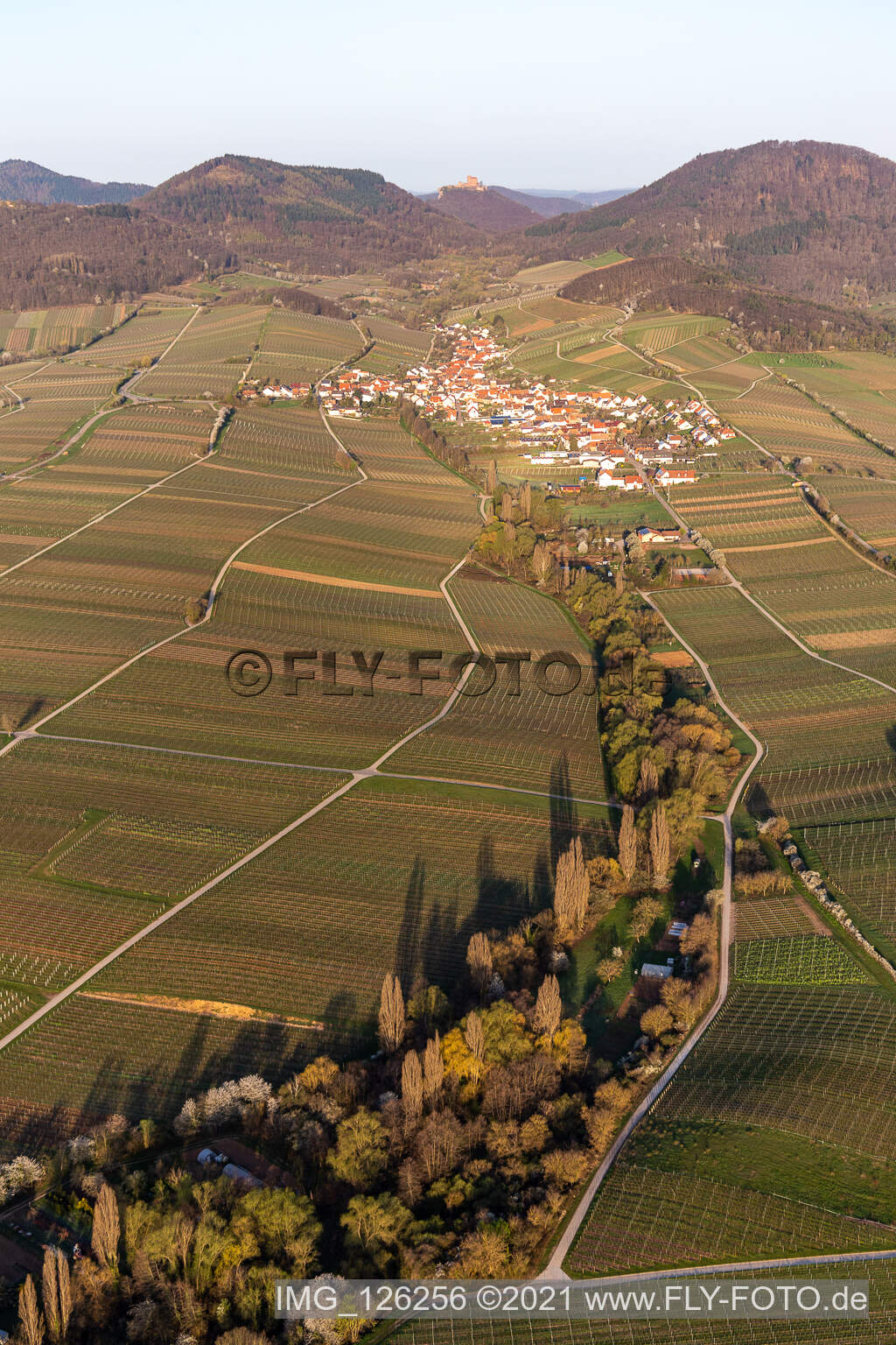 Dorf - Ansicht am Rande von Weinbergen im Frühjahr vor dem Trifels in Birkweiler in Ranschbach im Bundesland Rheinland-Pfalz, Deutschland