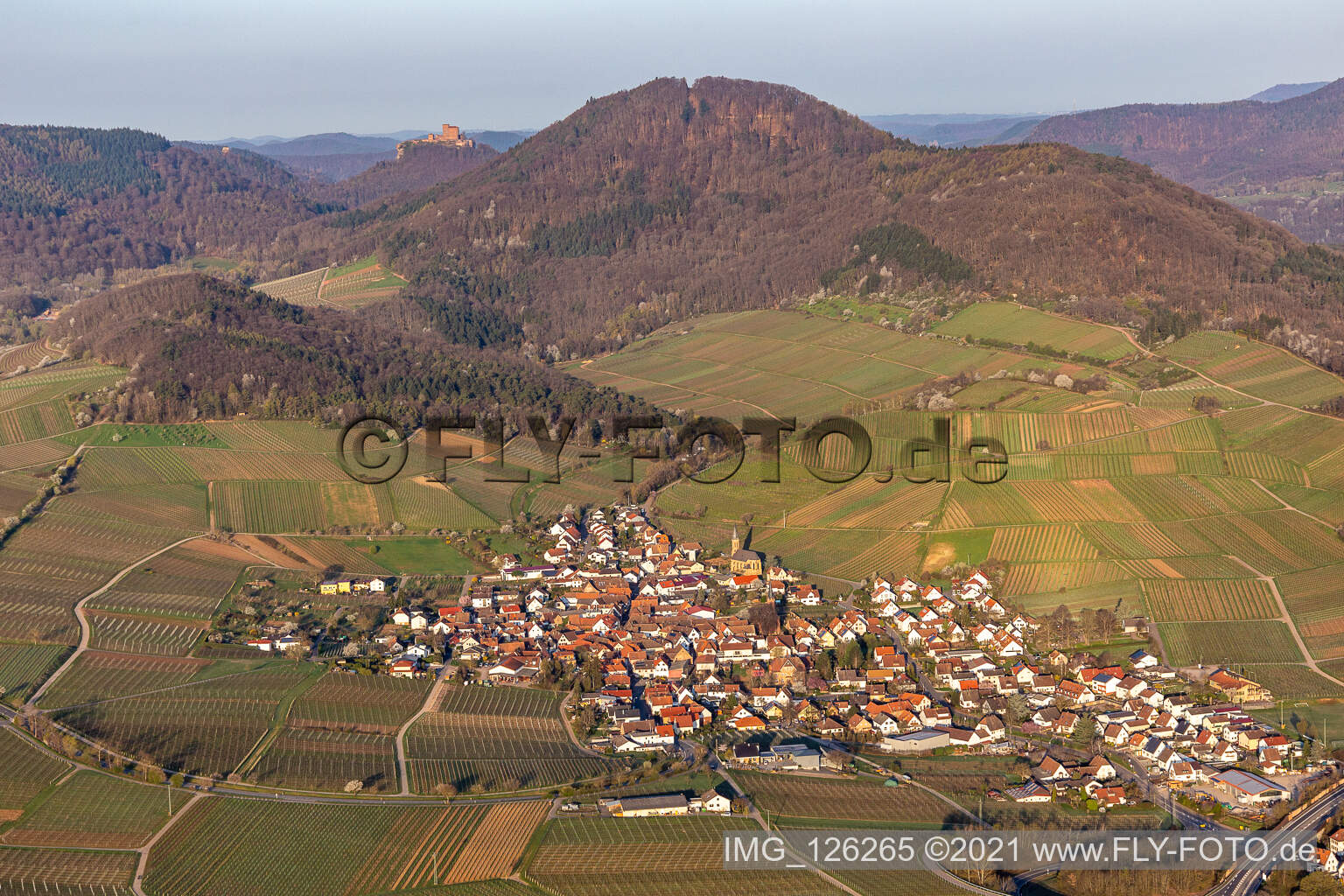 Dorf - Ansicht am Rande von Weinbergen im Frühjahr vor dem Trifels in Birkweiler im Bundesland Rheinland-Pfalz, Deutschland
