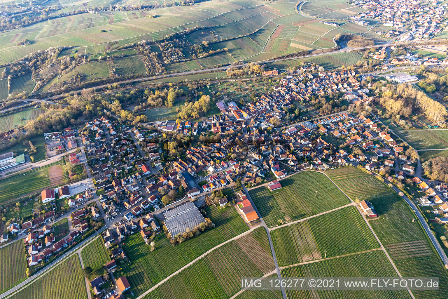 Luftaufnahme von Gebäudekomplex des Julius Kühn-Institut Rebforschungsanstalt Geilweilerhof mit blühenden Mandelbäumen in Siebeldingen im Bundesland Rheinland-Pfalz, Deutschland