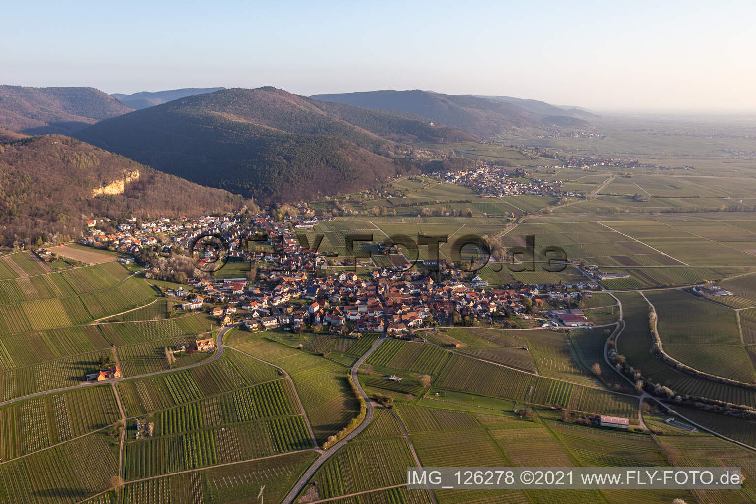 Frankweiler im Bundesland Rheinland-Pfalz, Deutschland aus der Drohnenperspektive