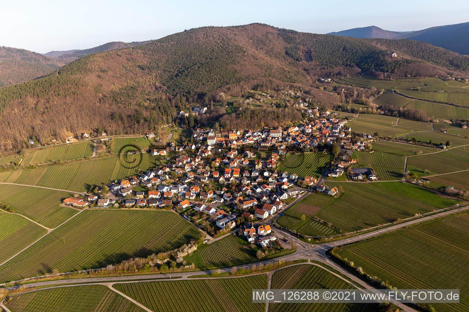Dorfkern am Rande von Weinbergen und Winzer- Gütern im Weinbaugebiet in Gleisweiler im Bundesland Rheinland-Pfalz, Deutschland