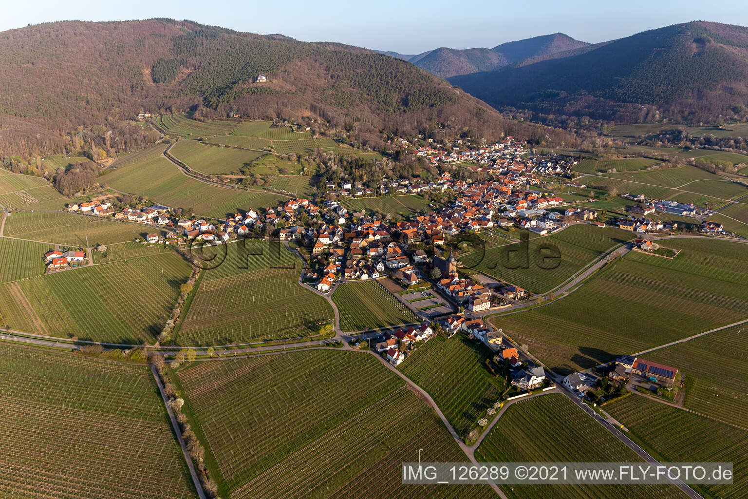 Burrweiler im Bundesland Rheinland-Pfalz, Deutschland von einer Drohne aus