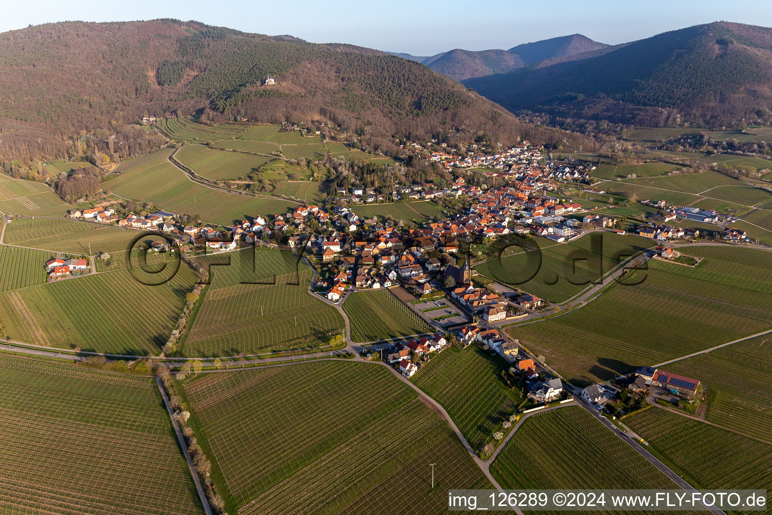 Burrweiler im Bundesland Rheinland-Pfalz, Deutschland von einer Drohne aus