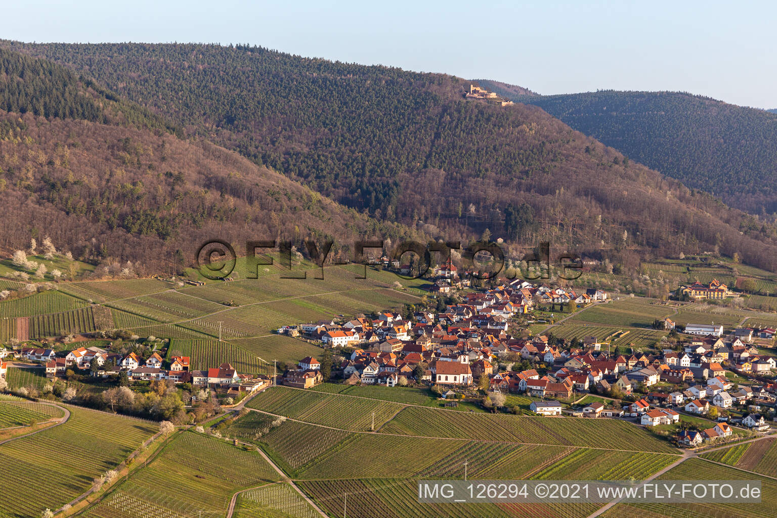 Weyher in der Pfalz im Bundesland Rheinland-Pfalz, Deutschland aus der Drohnenperspektive
