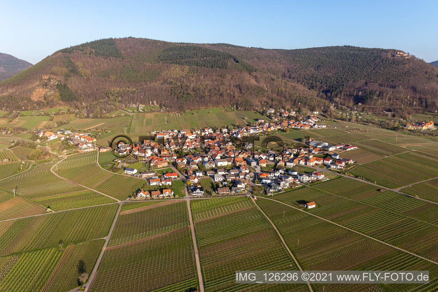 Dorfkern am Rande von Weinbergen und Winzer- Gütern im Weinbaugebiet in Weyher in der Pfalz im Bundesland Rheinland-Pfalz, Deutschland