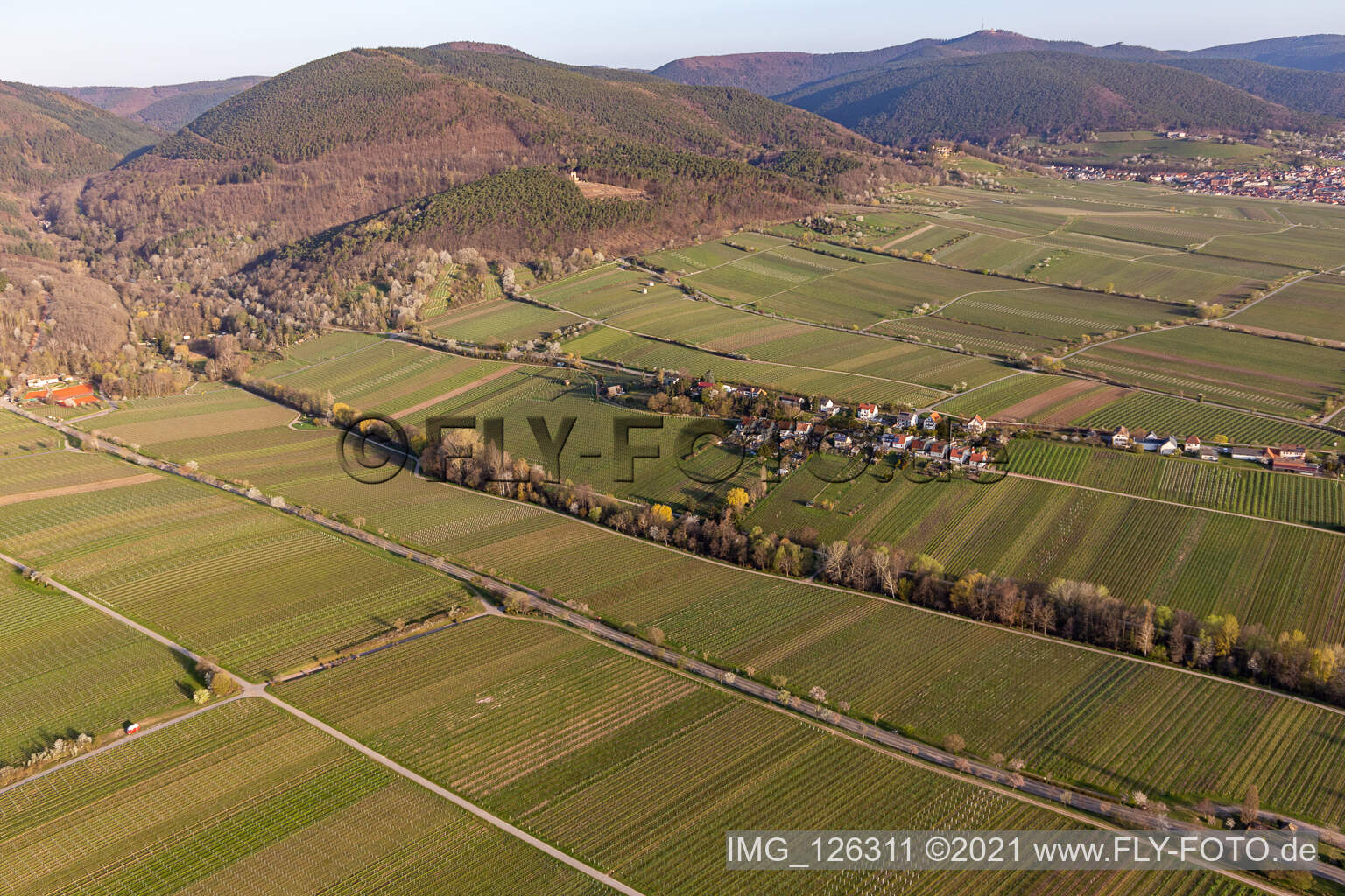 Rhodt unter Rietburg im Bundesland Rheinland-Pfalz, Deutschland von der Drohne aus gesehen