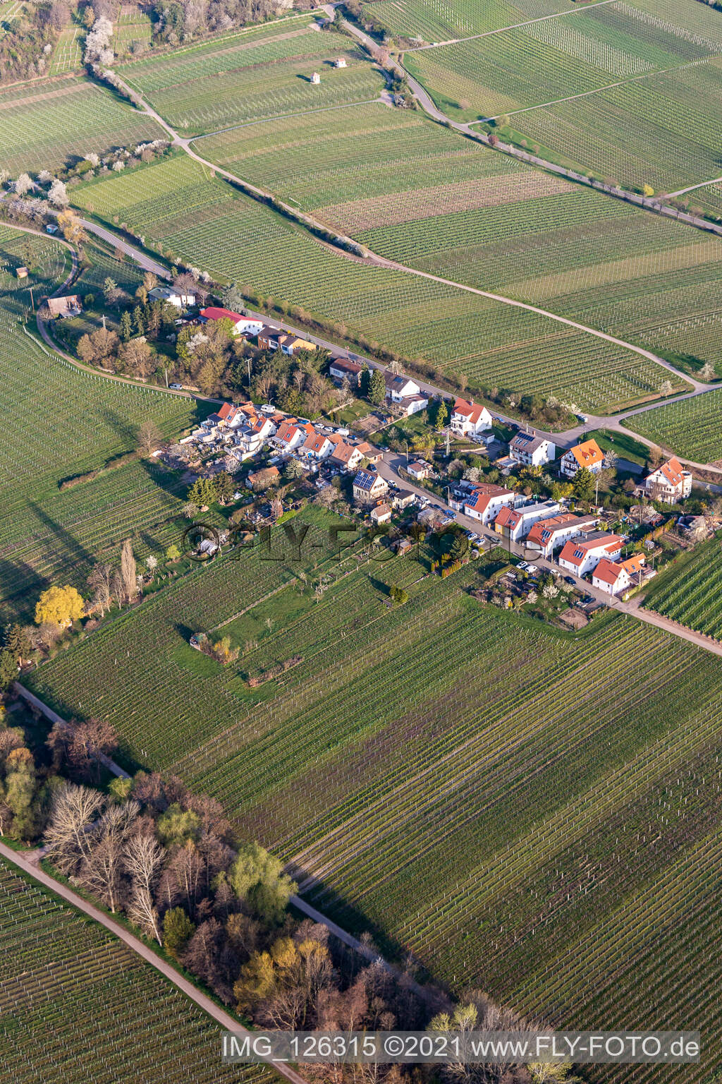 Siedlung an der Klosterstraße in Edenkoben im Bundesland Rheinland-Pfalz, Deutschland