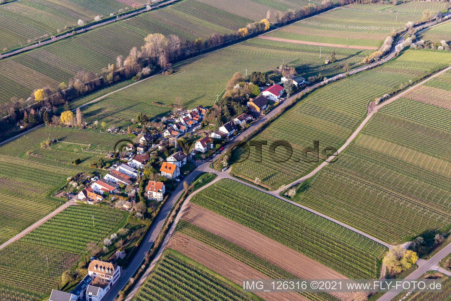 Luftbild von Siedlung an der Klosterstraße in Edenkoben im Bundesland Rheinland-Pfalz, Deutschland