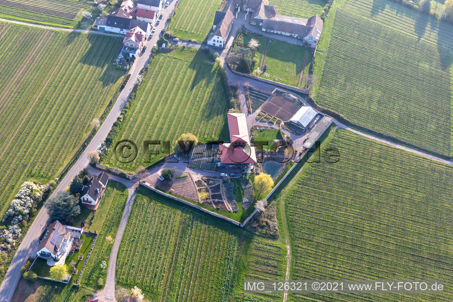 Luftbild von Edenkoben im Bundesland Rheinland-Pfalz, Deutschland