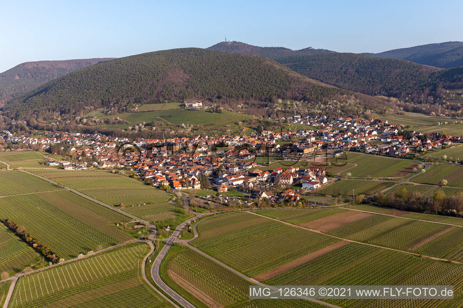 Dorf - Ansicht am Rande der Haardt des Pfälzerwalds zwischen Weinbergen im Frühjahr in Sankt Martin im Bundesland Rheinland-Pfalz, Deutschland