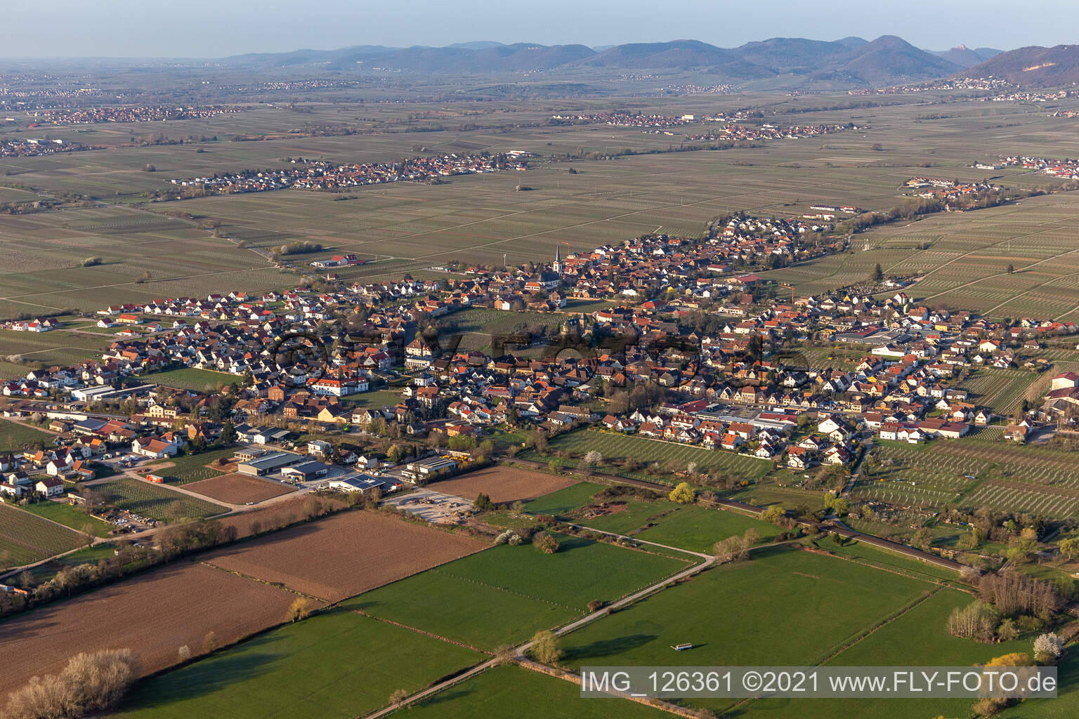 Edesheim im Bundesland Rheinland-Pfalz, Deutschland aus der Luft betrachtet