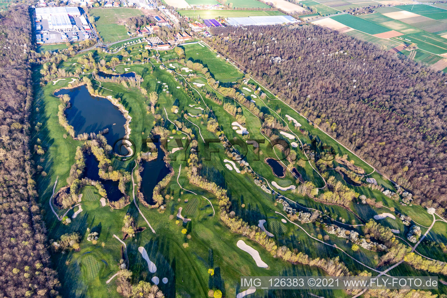 Luftaufnahme von Blühende Bäume im Frühjahr auf der Golfanlage Landgut Dreihof - GOLF absolute in Essingen im Bundesland Rheinland-Pfalz, Deutschland