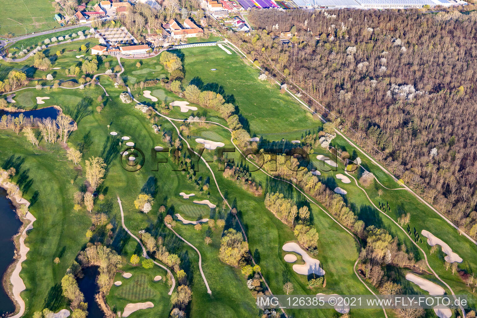 Schrägluftbild von Blühende Bäume im Frühjahr auf der Golfanlage Landgut Dreihof - GOLF absolute in Essingen im Bundesland Rheinland-Pfalz, Deutschland