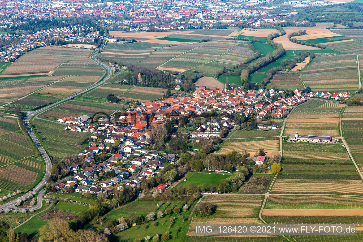 Dorf - Ansicht am Rande von landwirtschaftlichen Feldern und Nutzflächen in Wollmesheim in Landau in der Pfalz im Bundesland Rheinland-Pfalz, Deutschland