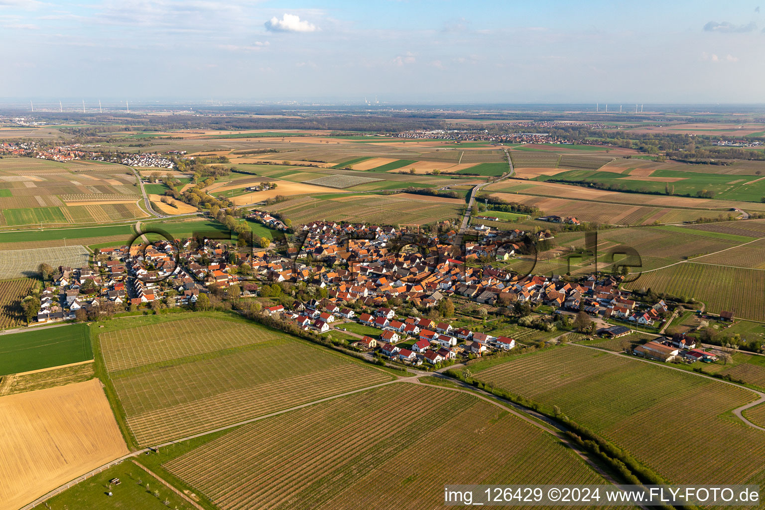 Schrägluftbild von Dorf - Ansicht am Rande von landwirtschaftlichen Feldern und Nutzflächen in Impflingen im Bundesland Rheinland-Pfalz, Deutschland