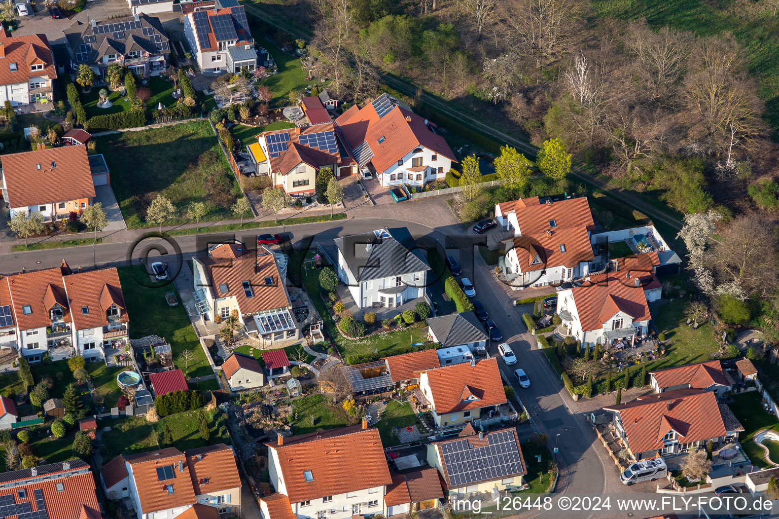 Robert-Koch-Straße in Bellheim im Bundesland Rheinland-Pfalz, Deutschland