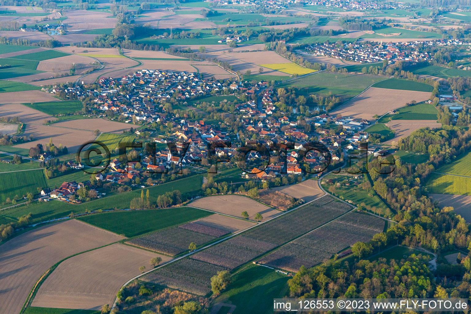 Luftbild von Ortsteil Diersheim in Rheinau im Bundesland Baden-Württemberg, Deutschland