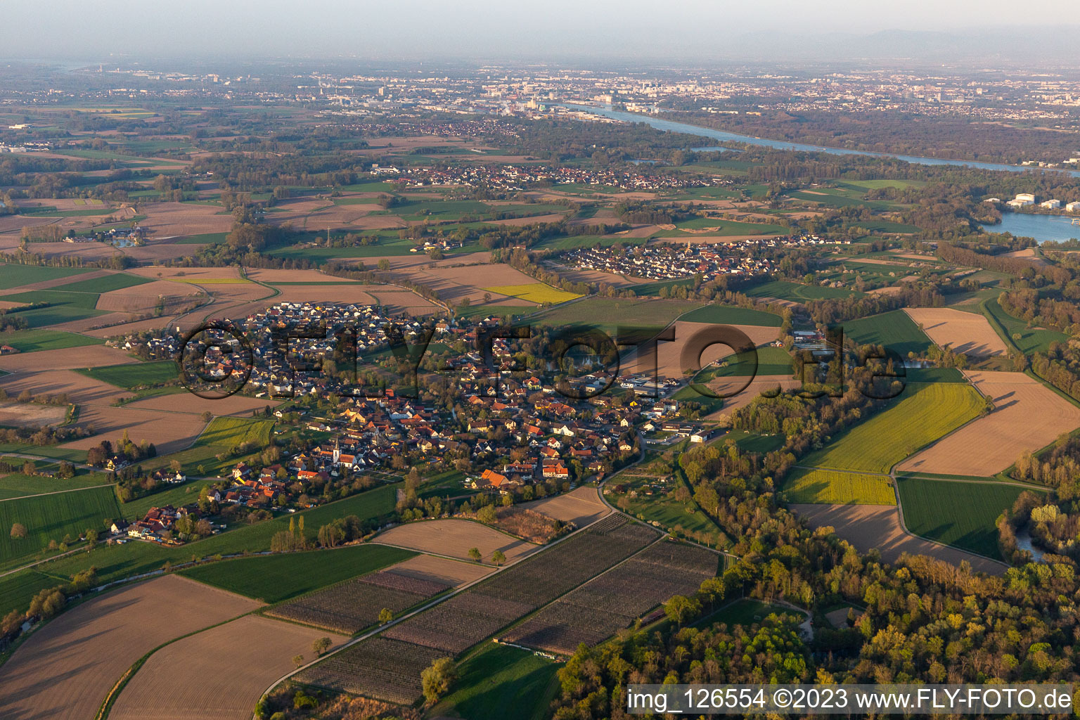 Luftbild von Dorfkern an den Fluß- Uferbereichen des Rhein in Diersheim in Rheinau im Bundesland Baden-Württemberg, Deutschland