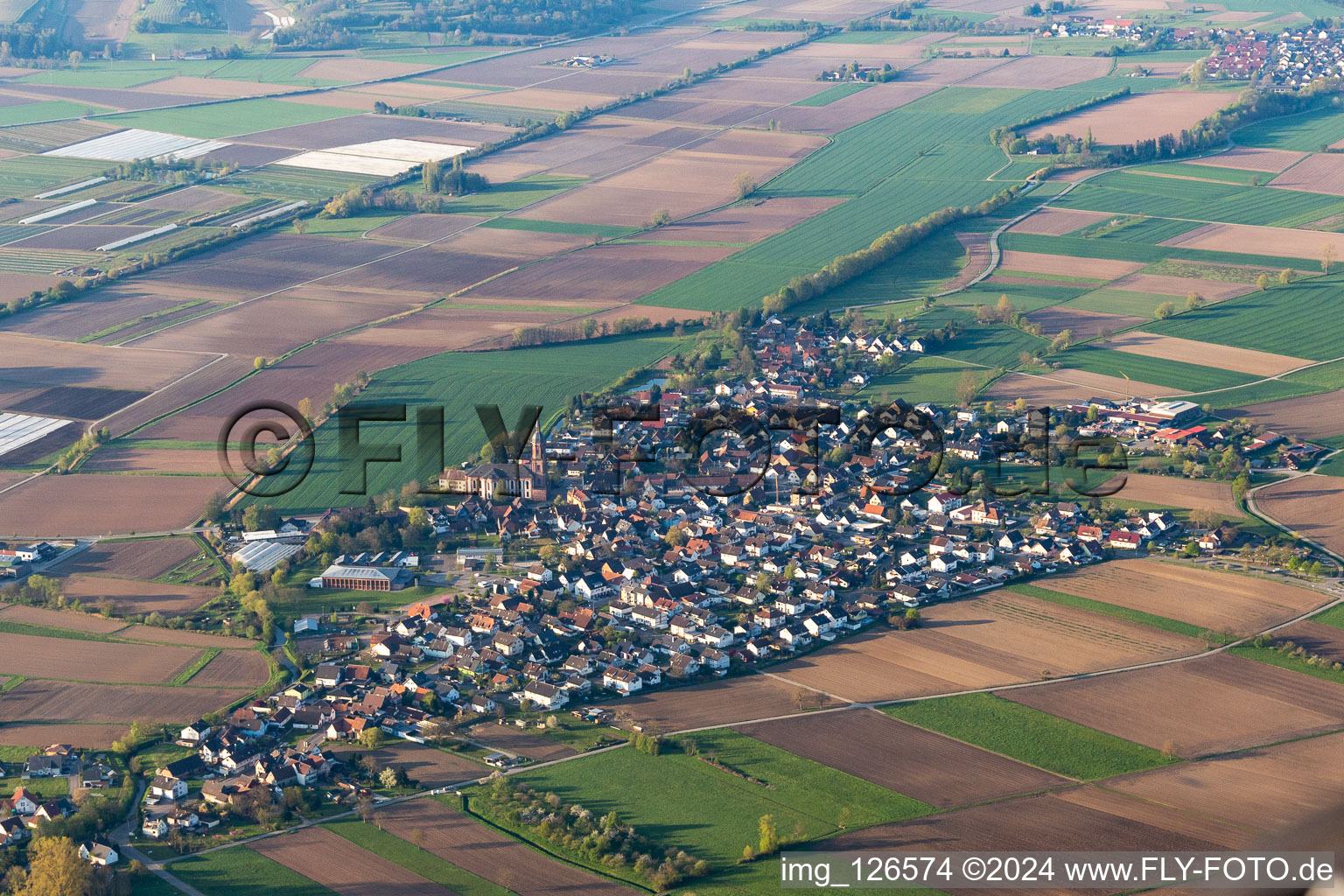 Schuttern in Friesenheim im Bundesland Baden-Württemberg, Deutschland