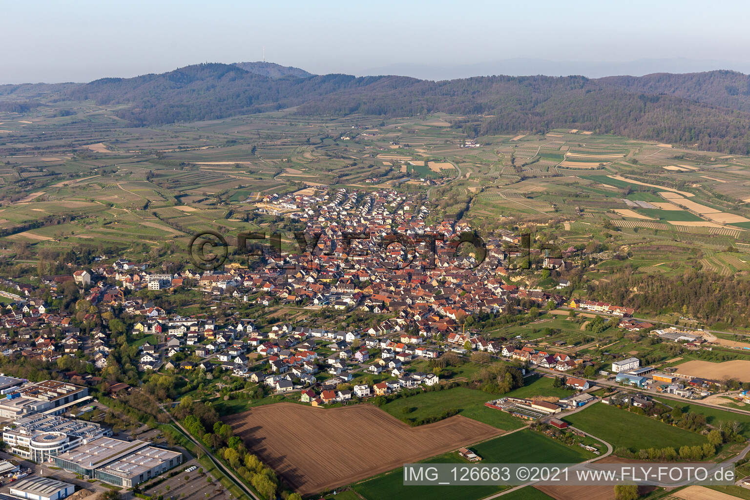 Luftbild von Felder einer Weinbergs- Landschaft der Winzer- Gebiete in Bahlingen im Kaiserstuhl in Bahlingen am Kaiserstuhl im Bundesland Baden-Württemberg, Deutschland