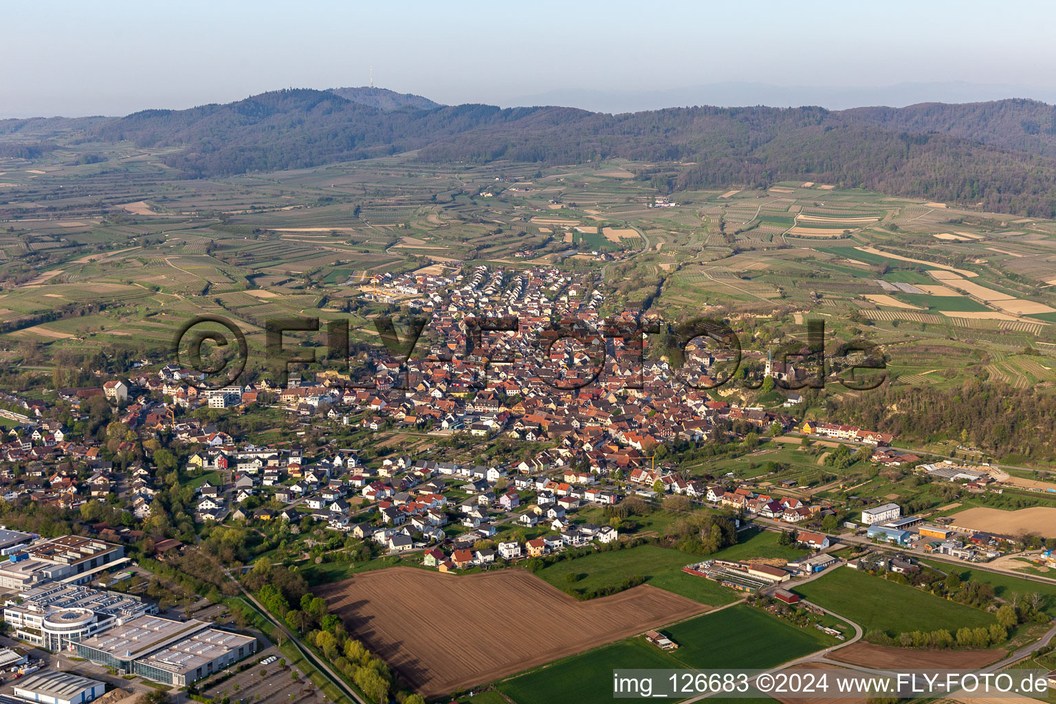 Luftbild von Felder einer Weinbergs- Landschaft der Winzer- Gebiete in Bahlingen im Kaiserstuhl in Bahlingen am Kaiserstuhl im Bundesland Baden-Württemberg, Deutschland