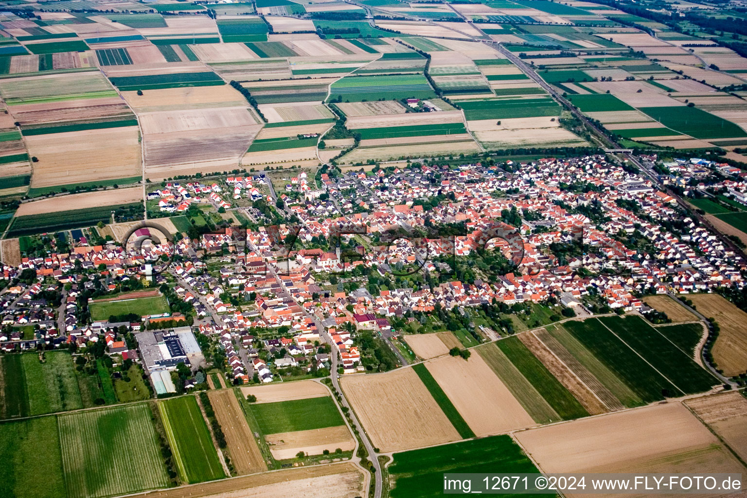 Luftbild von Ortsansicht der Straßen und Häuser der Wohngebiete in Haßloch im Bundesland Rheinland-Pfalz, Deutschland