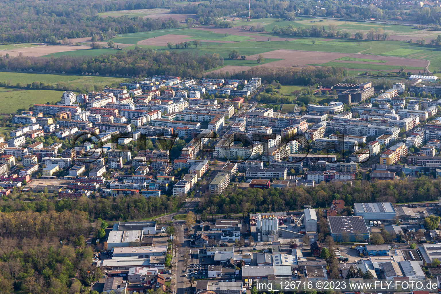 Luftbild von Stadtrand und Außenbezirks- Wohngebiete im Ortsteil Rieselfeld in Freiburg im Breisgau im Bundesland Baden-Württemberg, Deutschland