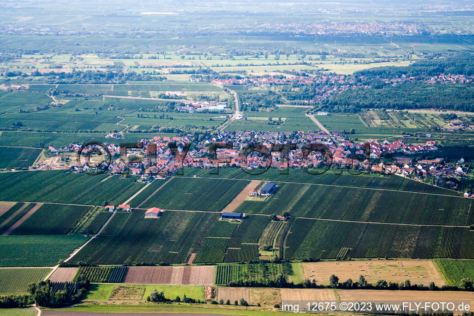 Alsheim-Gronau im Bundesland Rheinland-Pfalz, Deutschland von oben gesehen