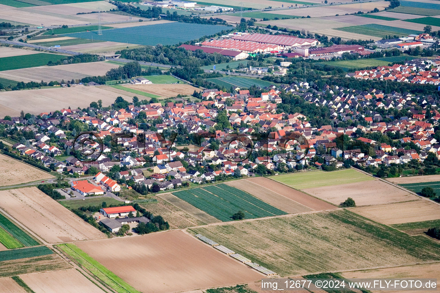 Luftbild von Ortsansicht der Straßen und Häuser der Wohngebiete im Ortsteil Schauernheim in Dannstadt-Schauernheim im Bundesland Rheinland-Pfalz, Deutschland