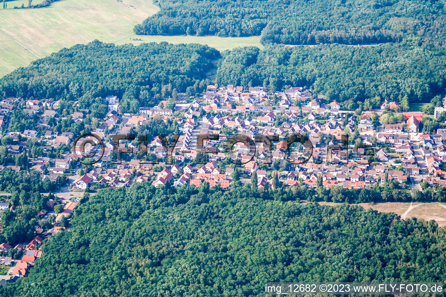 Schrägluftbild von Ellerstadt im Bundesland Rheinland-Pfalz, Deutschland