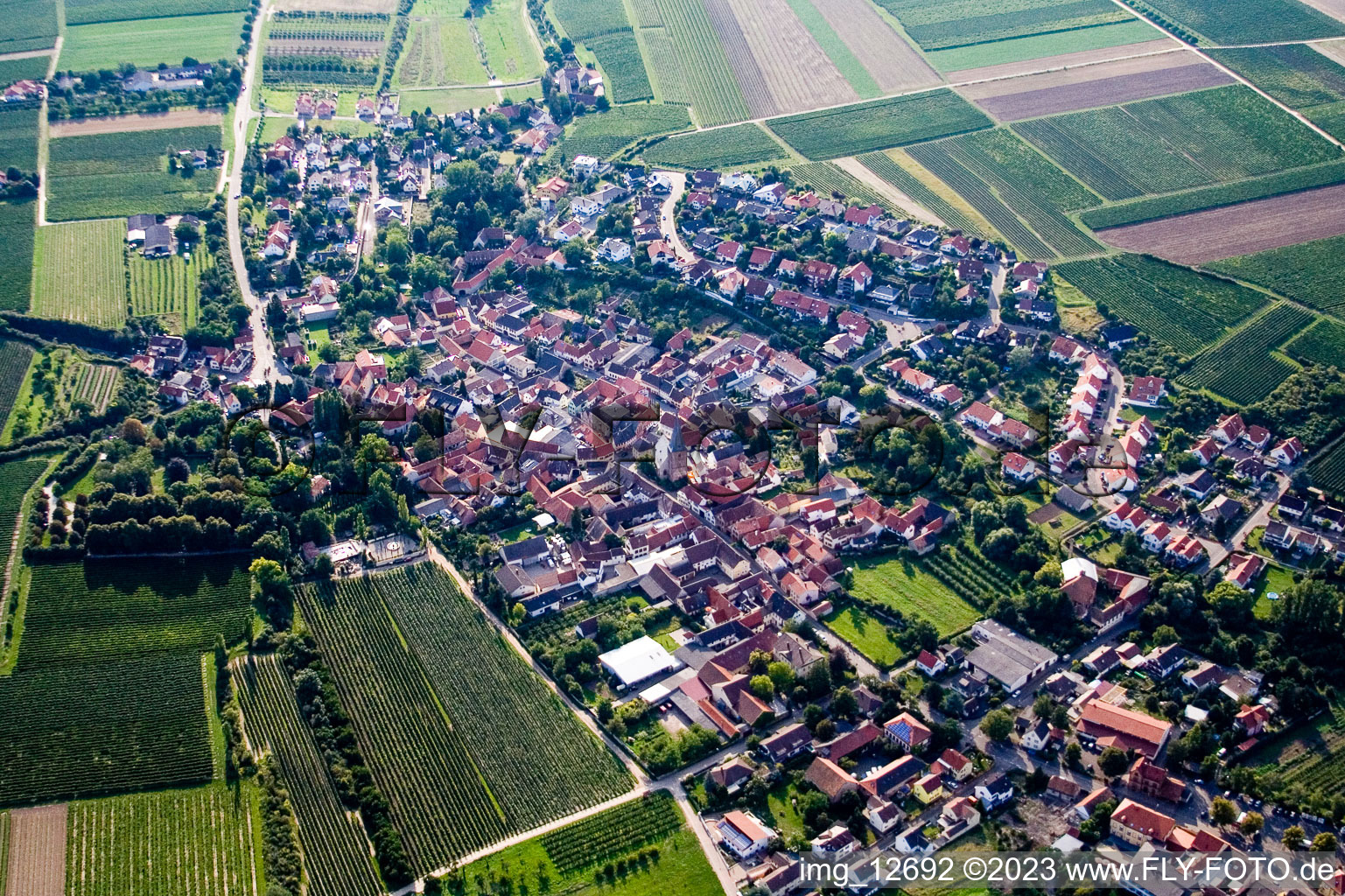 Luftbild von Großkarlbach im Bundesland Rheinland-Pfalz, Deutschland