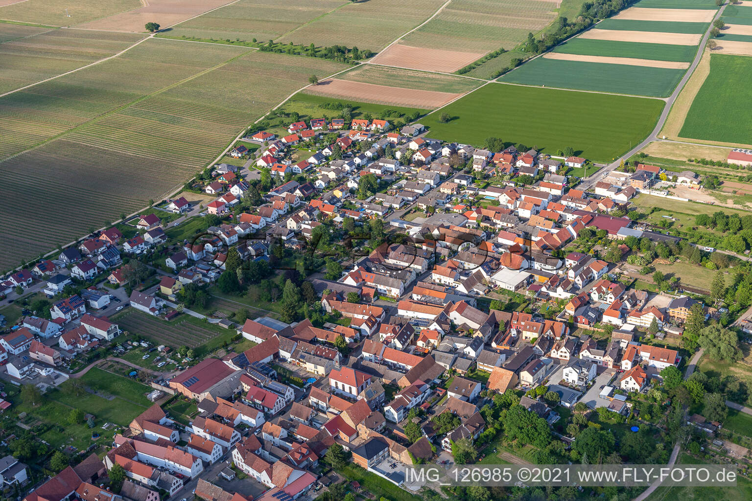 Luftaufnahme von Ortsteil Duttweiler in Neustadt an der Weinstraße im Bundesland Rheinland-Pfalz, Deutschland
