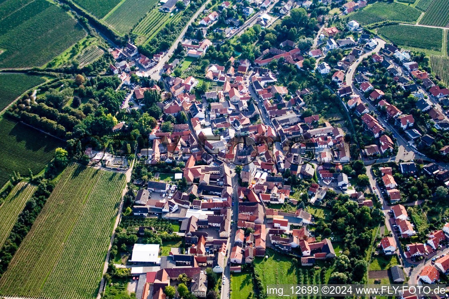 Dorf - Ansicht am Rande von landwirtschaftlichen Feldern und Nutzflächen in Großkarlbach im Bundesland Rheinland-Pfalz, Deutschland