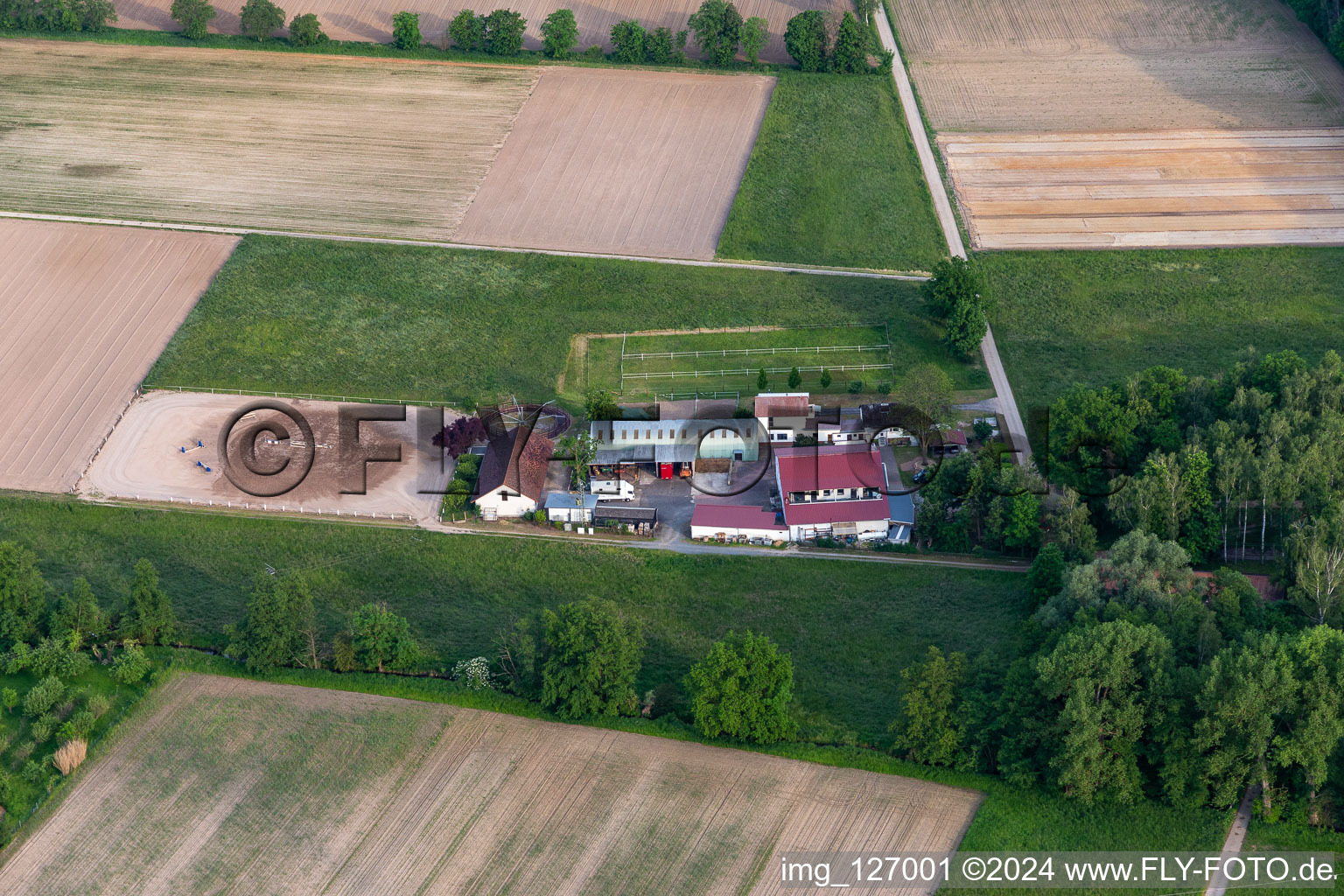 Damian GmbH in Gommersheim im Bundesland Rheinland-Pfalz, Deutschland