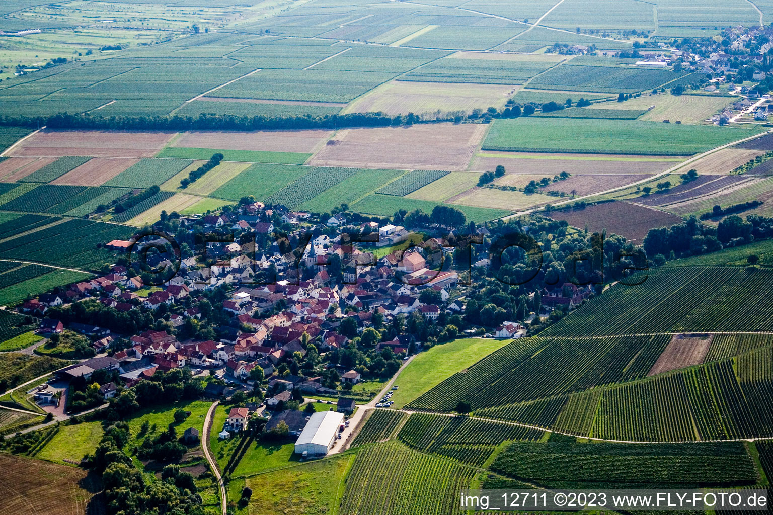 Drohnenbild von Großkarlbach im Bundesland Rheinland-Pfalz, Deutschland