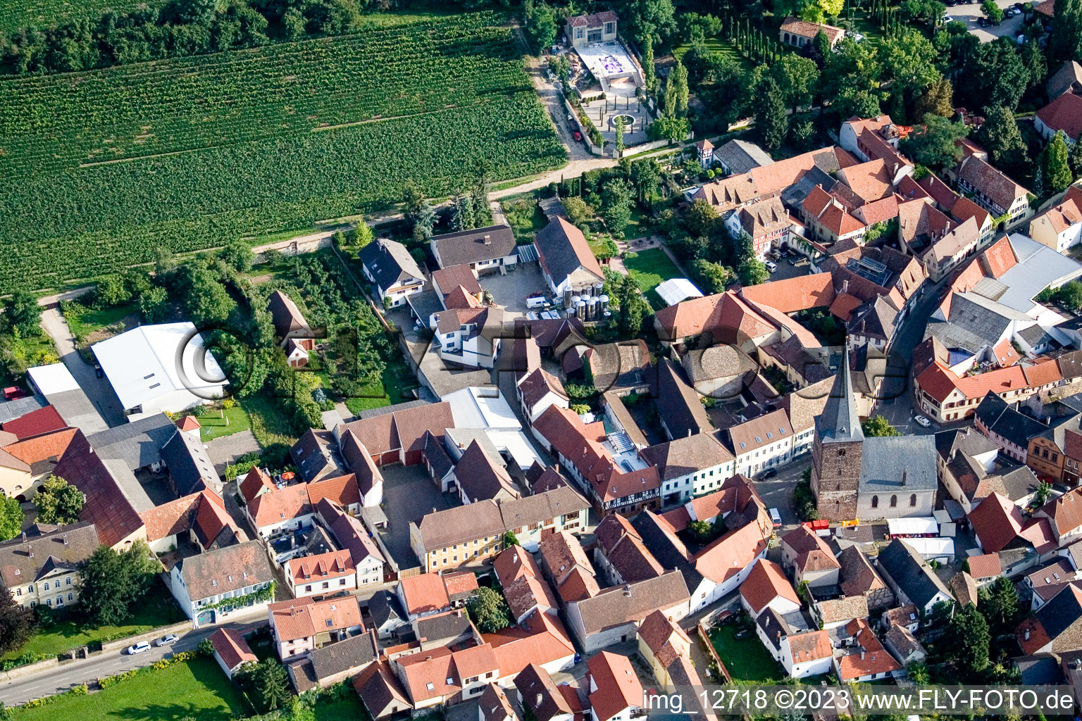 Luftbild von Großkarlbach im Bundesland Rheinland-Pfalz, Deutschland