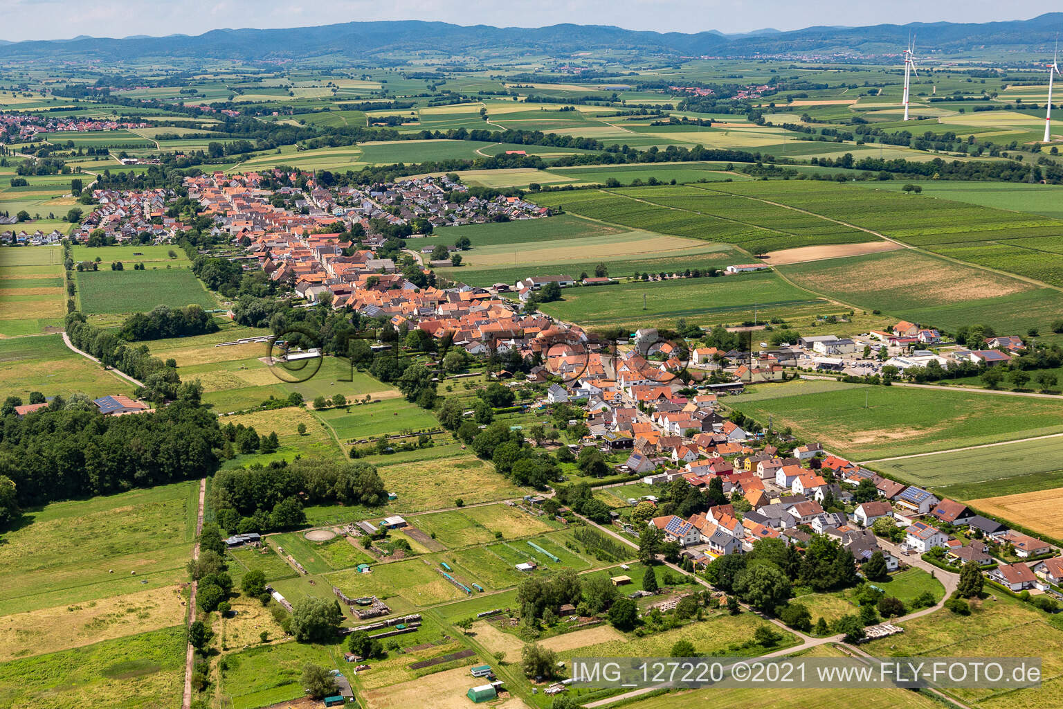 Ortsansicht am Rande von landwirtschaftlichen Feldern und Nutzflächen in Freckenfeld im Bundesland Rheinland-Pfalz, Deutschland