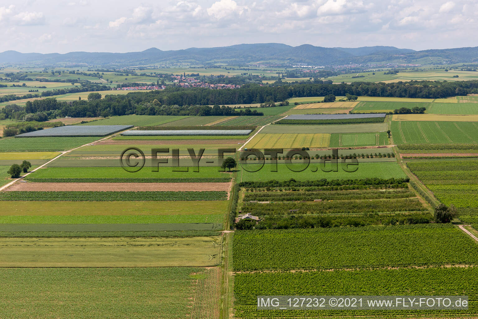 Luftbild von Eier-Meier Obstplantage im Ortsteil Mühlhofen in Billigheim-Ingenheim im Bundesland Rheinland-Pfalz, Deutschland