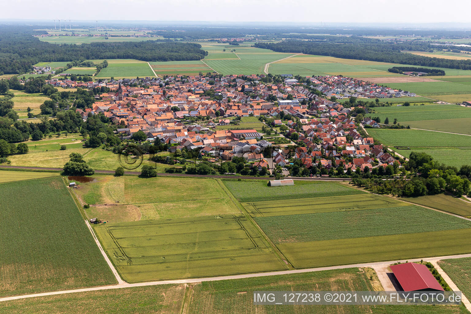 Ortsansicht am Rande von landwirtschaftlichen Feldern und Nutzflächen in Steinweiler im Bundesland Rheinland-Pfalz, Deutschland