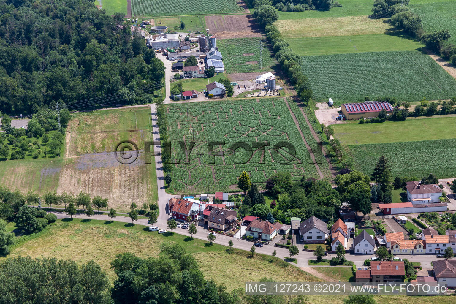 Maislabyrinth & Beachlounge Steinweiler Seehof im Bundesland Rheinland-Pfalz, Deutschland