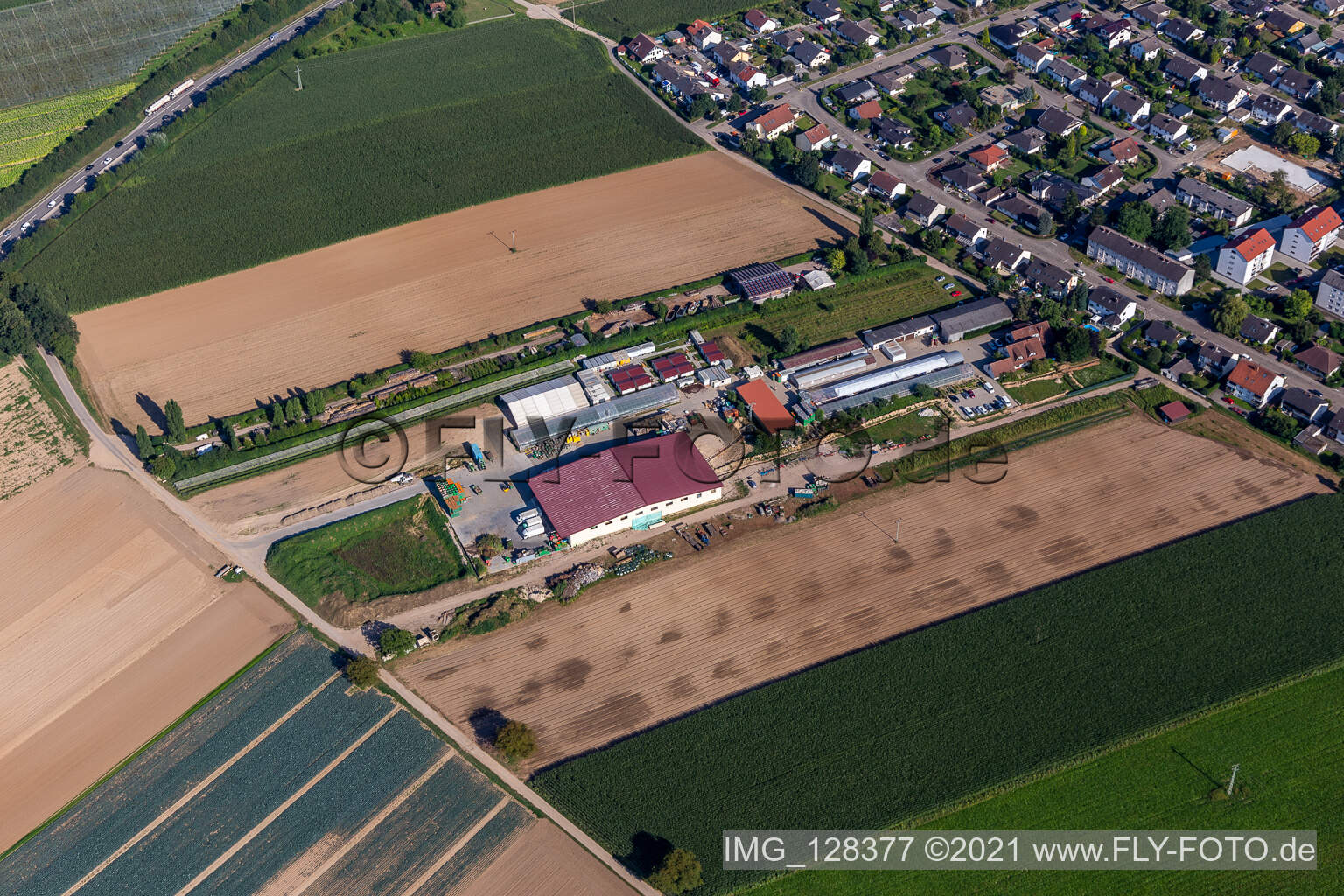 Luftaufnahme von Kugelmann Bio-Bauer in Kandel im Bundesland Rheinland-Pfalz, Deutschland