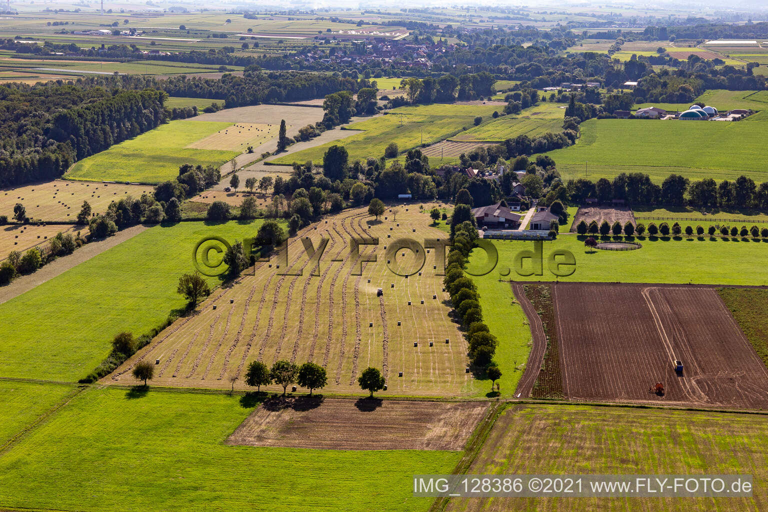 Luftaufnahme von Palatino Ranch in Steinweiler im Bundesland Rheinland-Pfalz, Deutschland