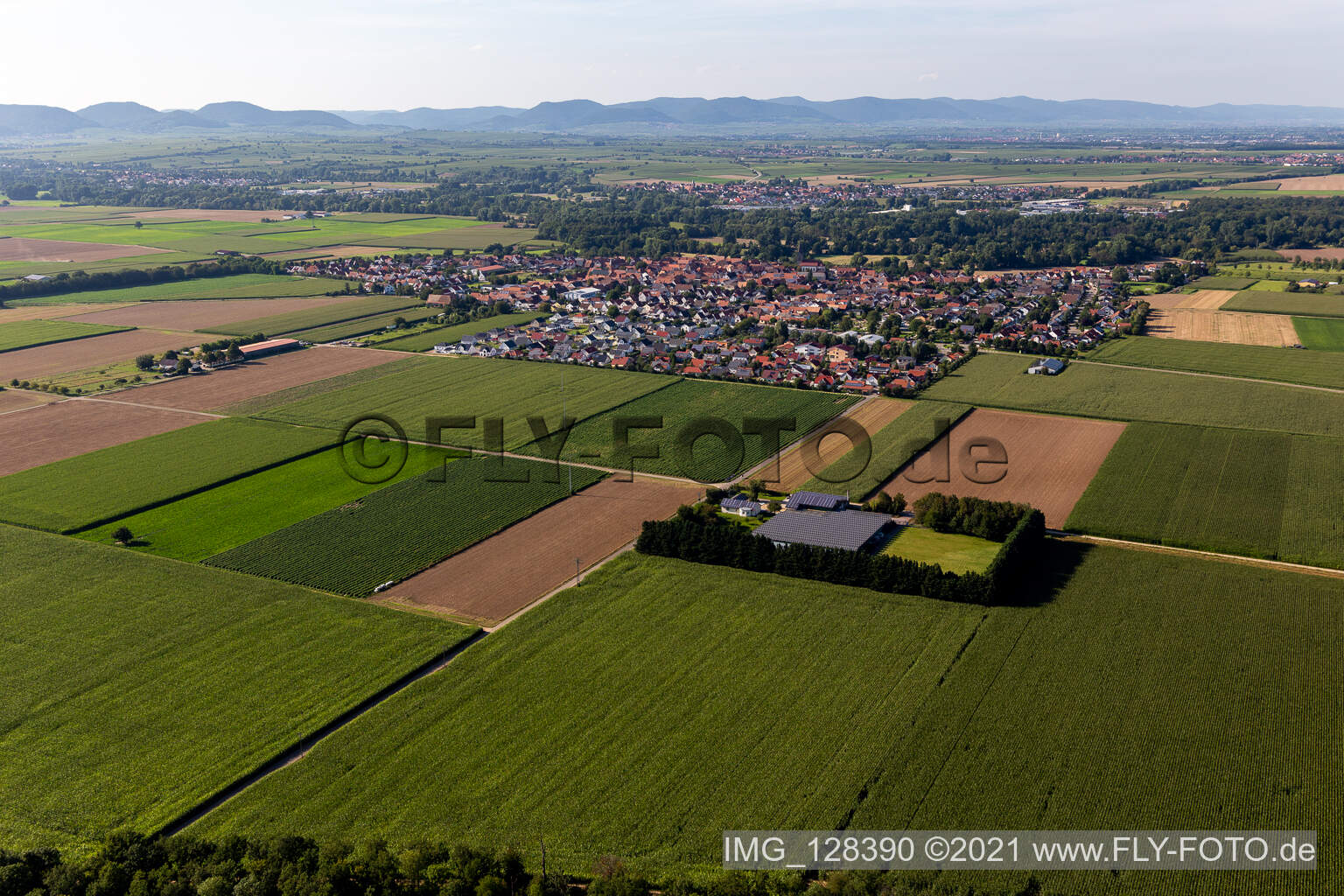 Steinweiler im Bundesland Rheinland-Pfalz, Deutschland aus der Luft betrachtet