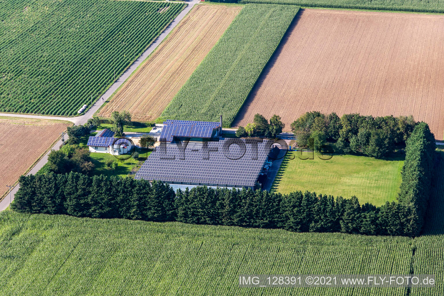 Drohnenaufname von Steinweiler im Bundesland Rheinland-Pfalz, Deutschland