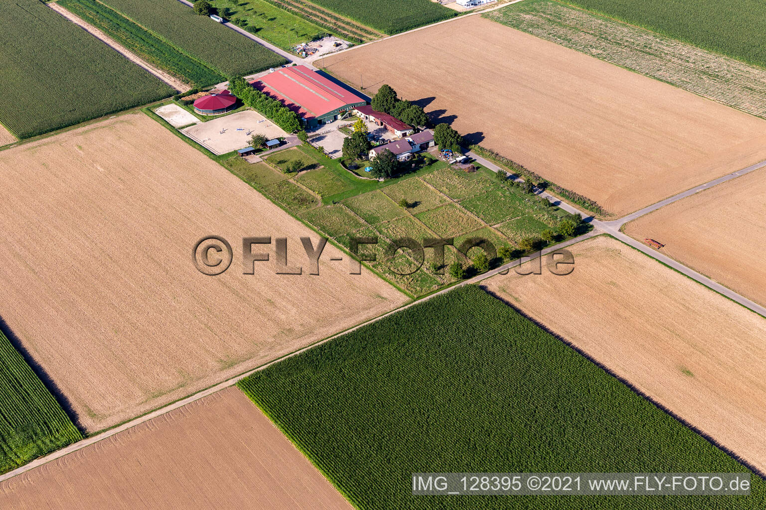 Luftbild von Reitsportanlage Fohlenhof in Steinweiler im Bundesland Rheinland-Pfalz, Deutschland