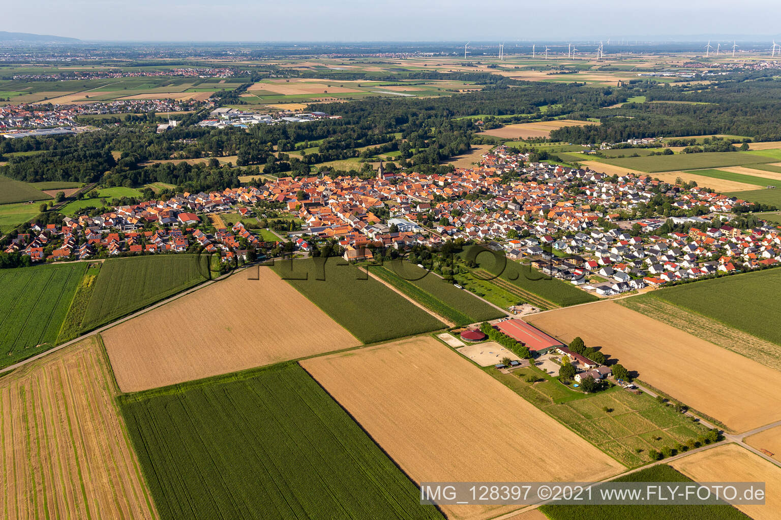 Luftbild von Ortsansicht am Rande von landwirtschaftlichen Feldern und Nutzflächen in Steinweiler im Bundesland Rheinland-Pfalz, Deutschland