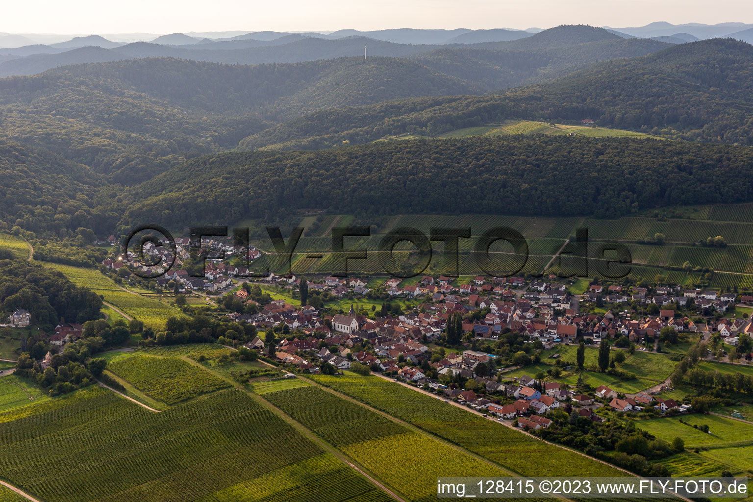 Ortsteil Pleisweiler in Pleisweiler-Oberhofen im Bundesland Rheinland-Pfalz, Deutschland aus der Vogelperspektive